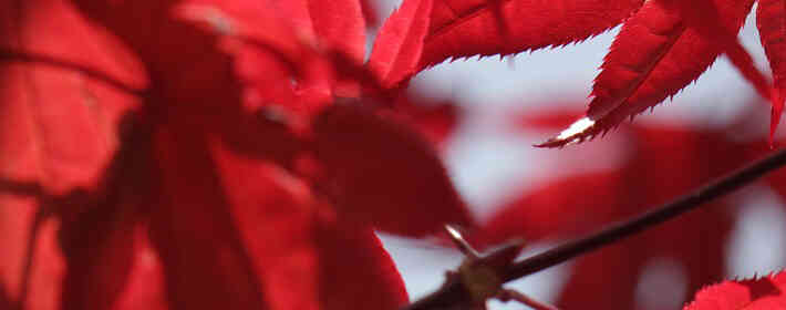 ��������Ʒ�䡷�����ﲽ���빦������