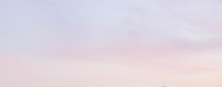 ţ˽Ʋѯ1003գ