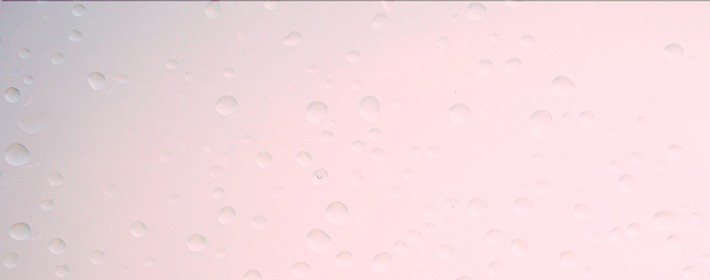 ˽Ʋѯ0906գ