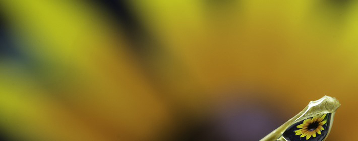 һ˳ 202382Ф