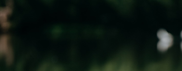 ˽Ʋѯ0924գ