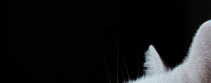 ˽Ʋѯ0920գ