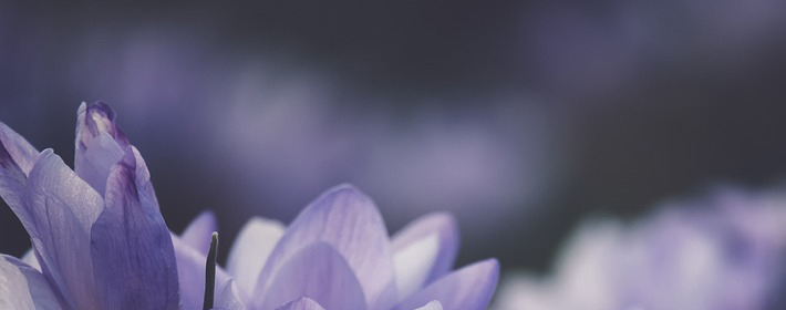 ˽Ʋѯ0913գ
