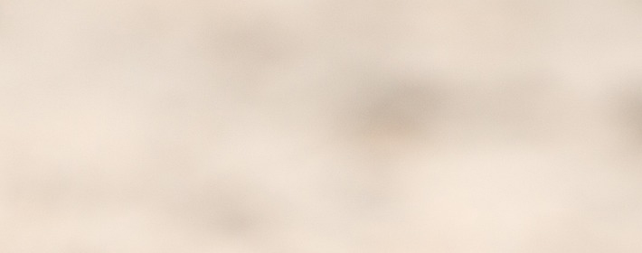 ˽Ʋѯ0829գ