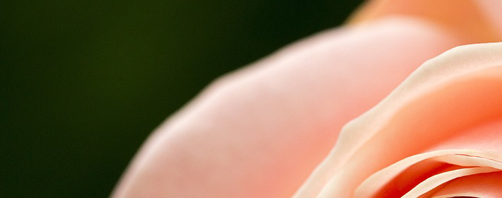 ˽Ʋѯ0903գ