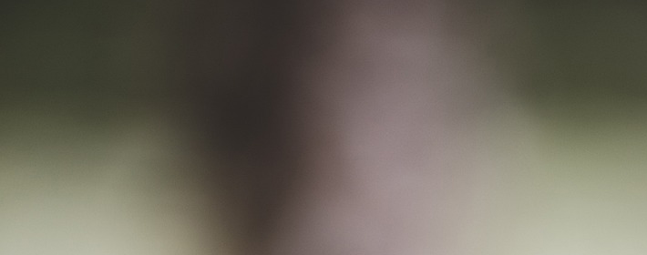 ˽Ʋѯ0820գ