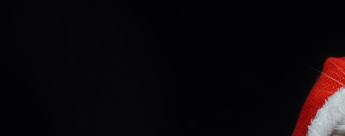 ˽Ʋѯ0811գ