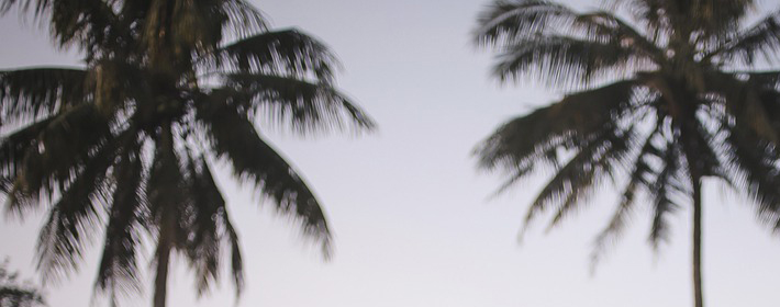 ˽Ʋѯ1014գ