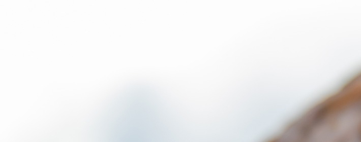 <b>ҵչ</b>