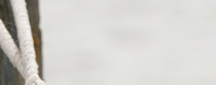 <b>24521ճıò</b>