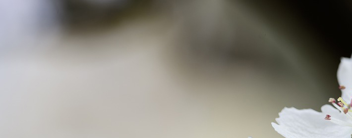 <b>ֺ֣ͼ</b>