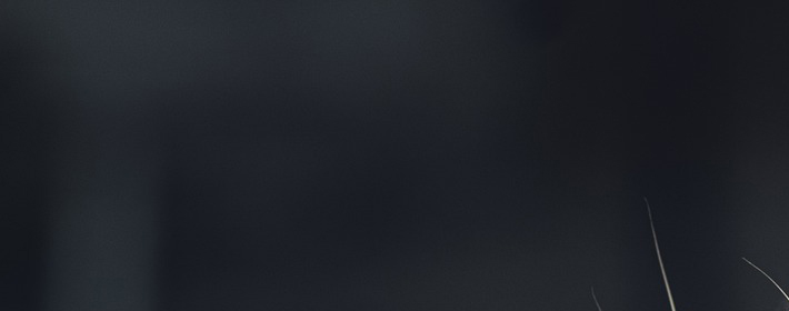 20230813˫
