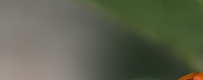 20230904˫