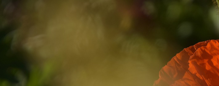 20230826˫