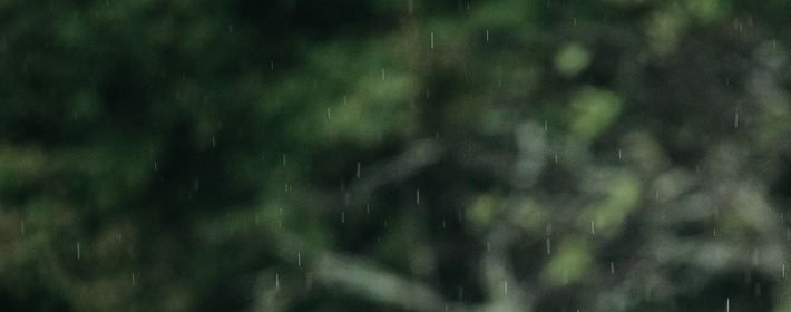 20230825մŮ