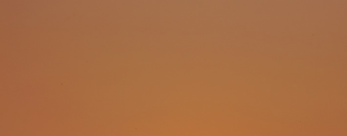 20230723մŮ