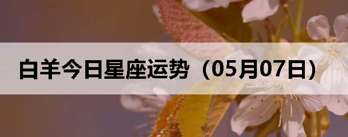 ƣ0507գ