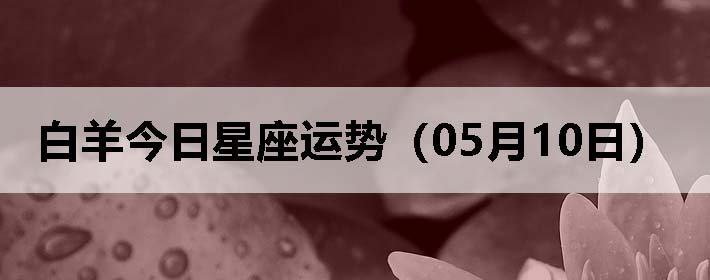 ƣ0510գ
