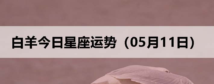 ƣ0511գ