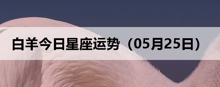 ƣ0525գ