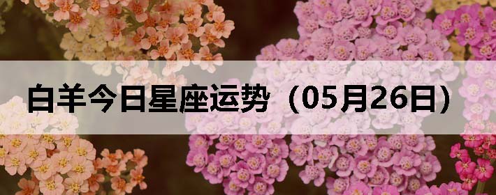 ƣ0526գ