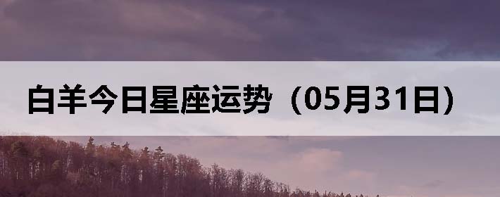 ƣ0531գ