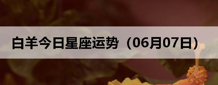 ƣ0607գ
