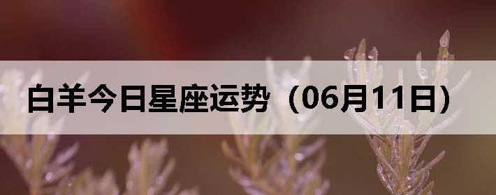 ƣ0611գ