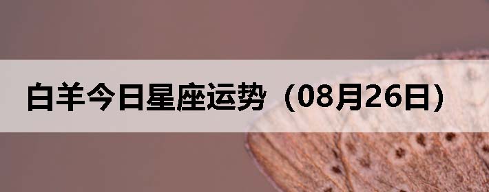 ƣ0826գ