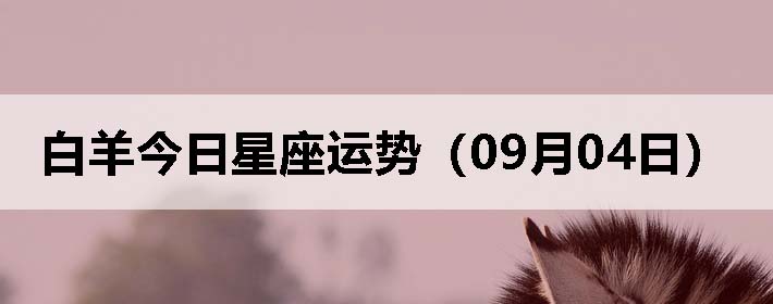 ƣ0904գ