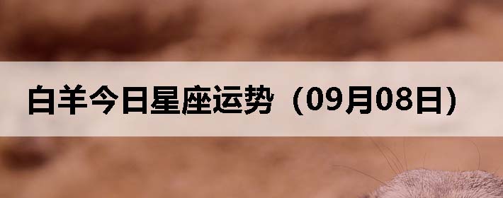 ƣ0908գ