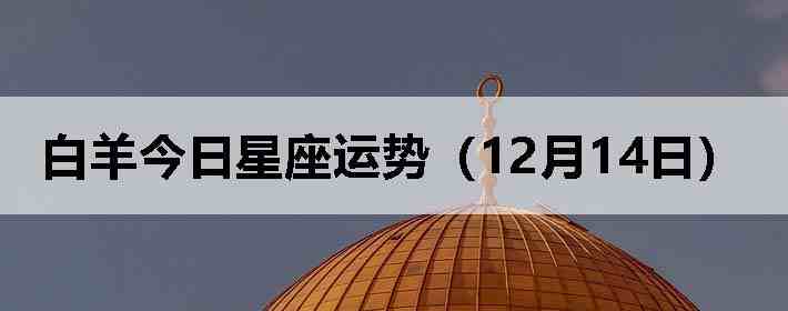 ��������������ƣ�12��14�գ�