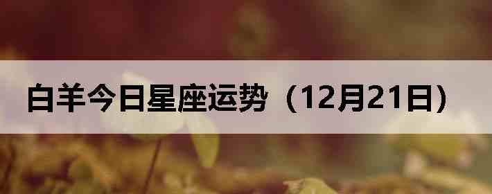 ��������������ƣ�12��21�գ�