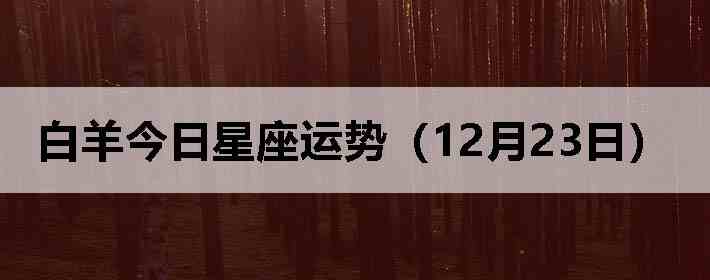 ��������������ƣ�12��23�գ�