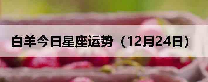 ��������������ƣ�12��24�գ�