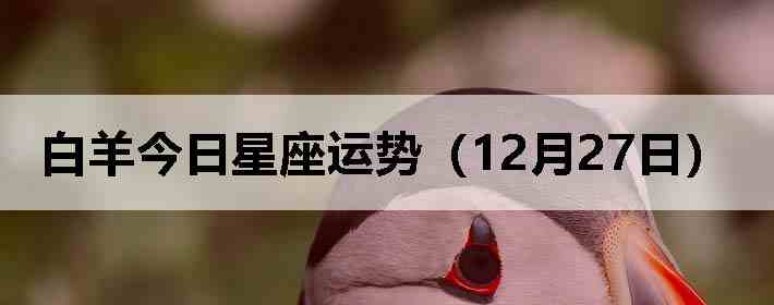 ��������������ƣ�12��27�գ�