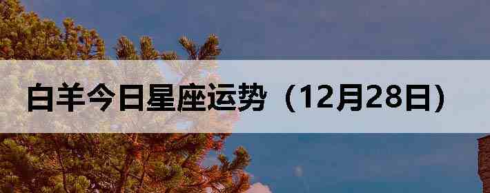 ��������������ƣ�12��28�գ�