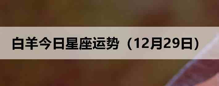 ��������������ƣ�12��29�գ�