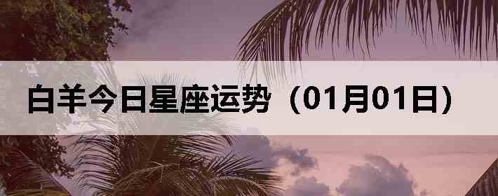 ��������������ƣ�01��01�գ�