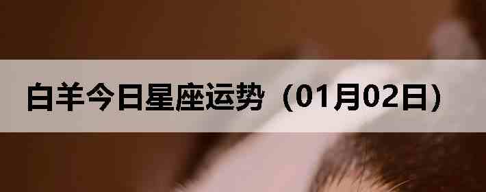 ��������������ƣ�01��02�գ�