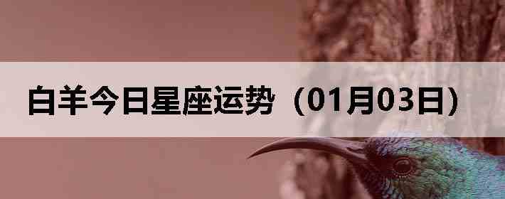 ��������������ƣ�01��03�գ�