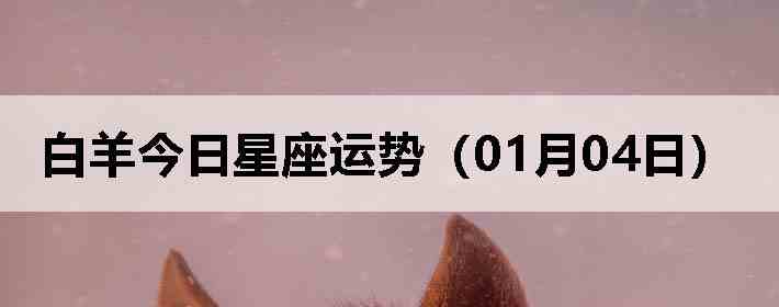 ��������������ƣ�01��04�գ�