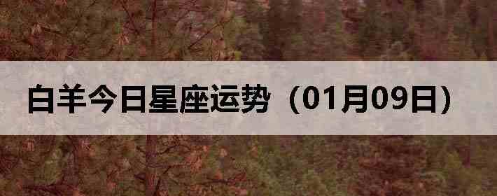 ��������������ƣ�01��09�գ�