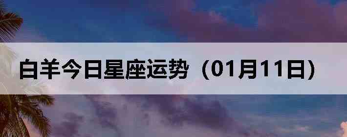 ��������������ƣ�01��11�գ�