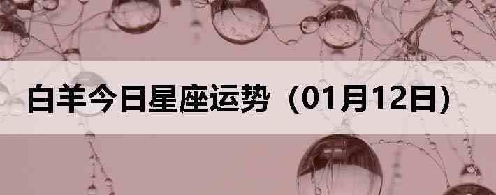 ��������������ƣ�01��12�գ�