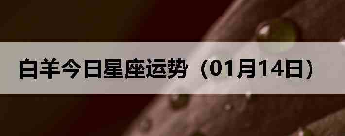 ��������������ƣ�01��14�գ�