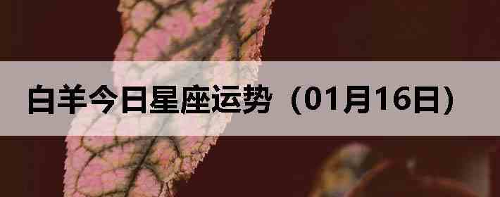 ��������������ƣ�01��16�գ�