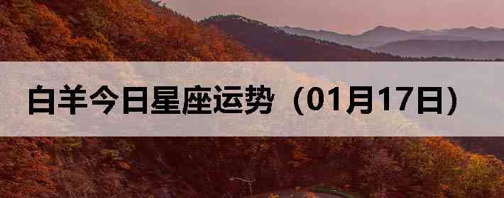 ��������������ƣ�01��17�գ�