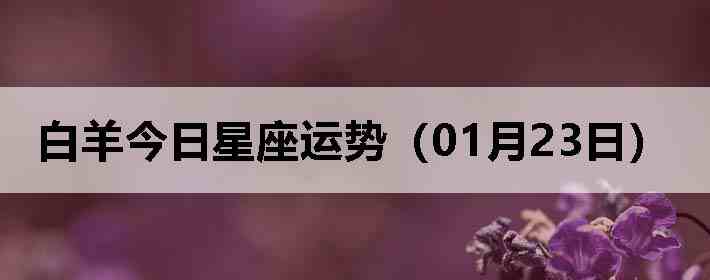 ��������������ƣ�01��23�գ�