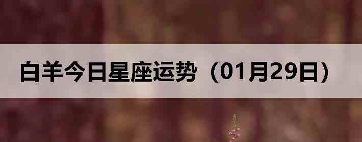 ��������������ƣ�01��29�գ�